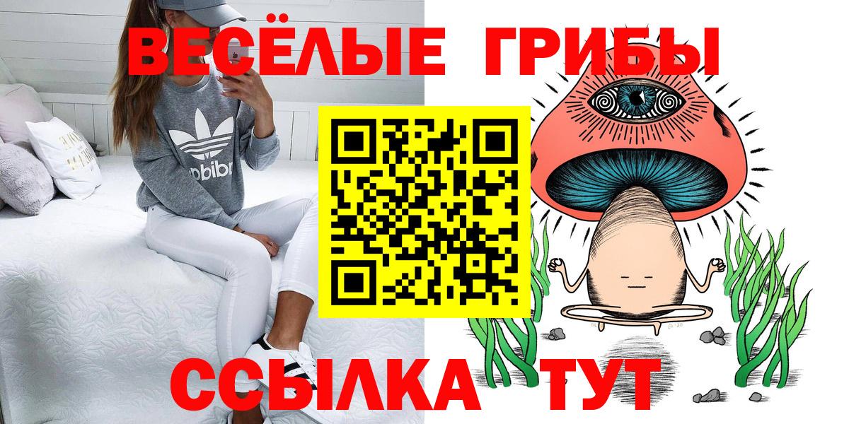 Псилоцибиновые грибы GOLDEN TEACHER Тельмана