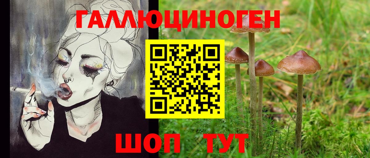 Тельмана  хочу наркоту  Вход с VPN  Псилоцибиновые грибы Magic Shrooms  Галлюциногенные грибы Psilocybine cubensis 